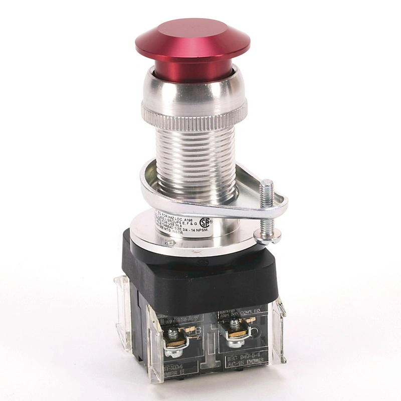 Allen Bradley (Rockwell Automation) 800H-FPXQ24MA1