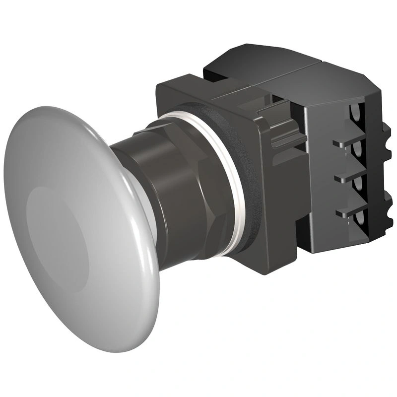 Кнопочные выключатели Siemens 52BM9V6G